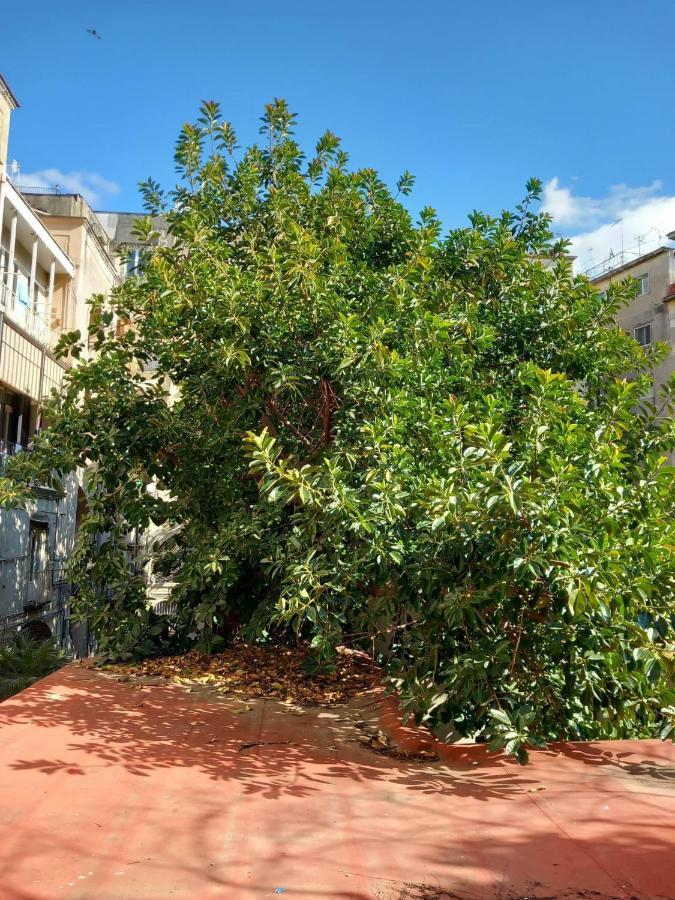 Appartamento Santa Chiara Spaccanapoli Napoli